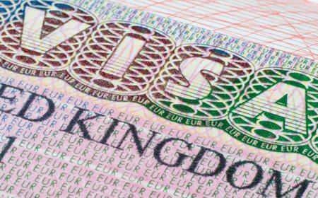 UK eVisa System Errors: The Hidden Scale of Digital Identity Failures