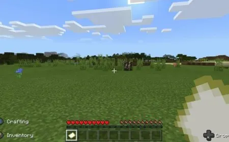Elderly grandmother livestreaming Minecraft reacts to tactical police response during charity hoax