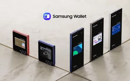 Samsung Wallet app screen showing a stored United States passport for TSA-approved domestic travel.