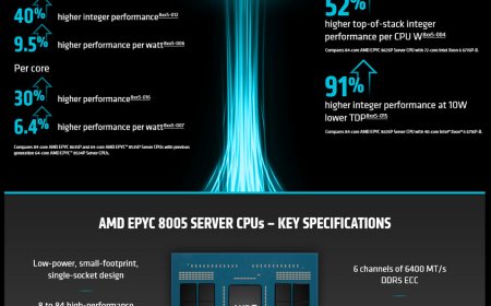AMD EPYC 8005 Series Launches with Zen 5 Architecture for Single-Socket Servers
