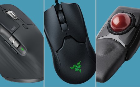 The Complete Guide to Selecting the Best Computer Mouse in 2024