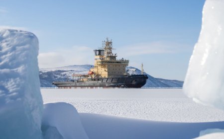 Europe's Arctic Cable Strategy: Bypassing Geopolitical Risk