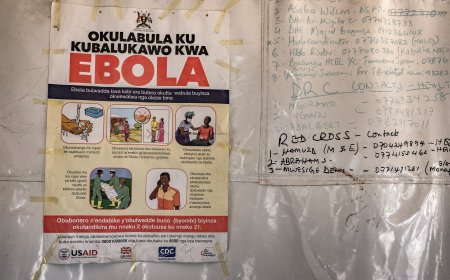 Ebola outbreak: WHO declares emergency, US restricts travel, American infected
