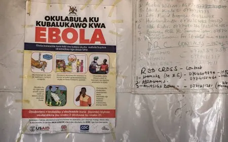 Medical personnel respond to the Ebola crisis in Central Africa following a WHO global emergency declaration.