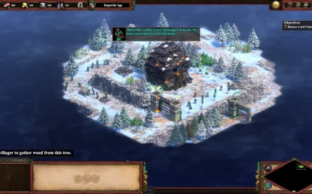 The macOS port developed by Feral Interactive shows the Age of Empires II Definitive Edition interface.