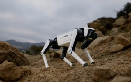 Dobot Rover X1 robot dog debuts at $1,030, carries items and follows for filming