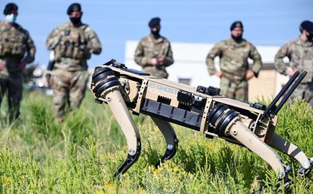 Military Robotics Debate: Evaluating Utility and Risk in Automated Defense Systems