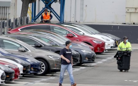 Coronavirus: Tesla Fremont employees reportedly test positive for COVID-19