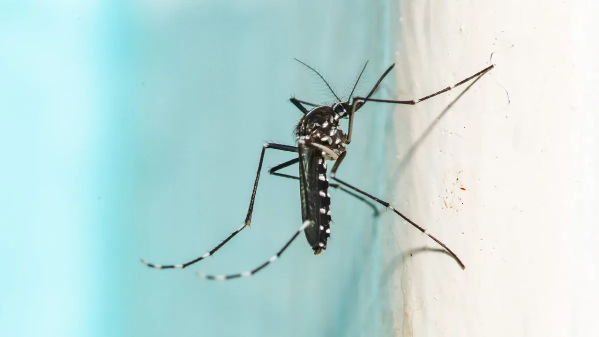 A motorized gimbal supports a precision laser and computer vision sensors for automated mosquito detection.
