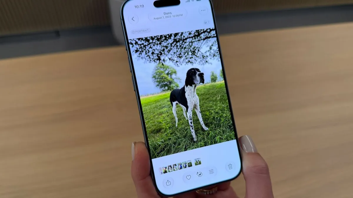 iPhone screen displaying the Spatial Reframe feature.