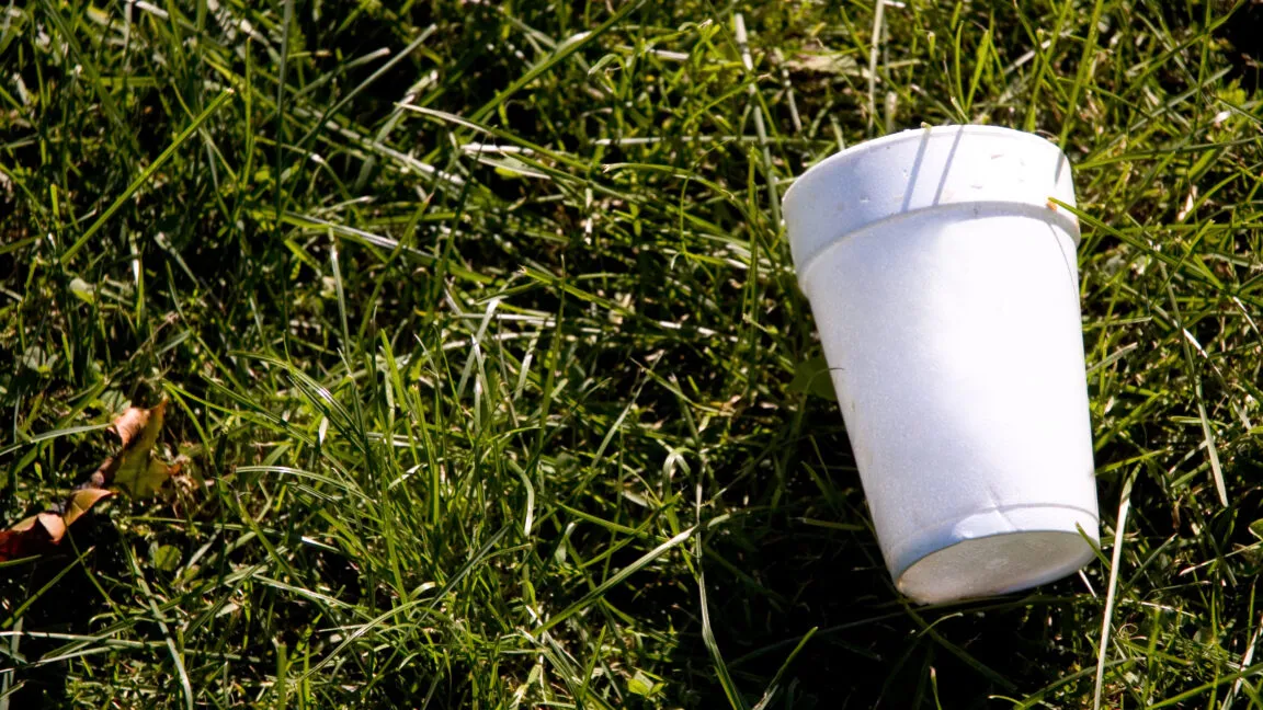 Recycled polystyrene is chemically converted into a solid amine for carbon dioxide capture.