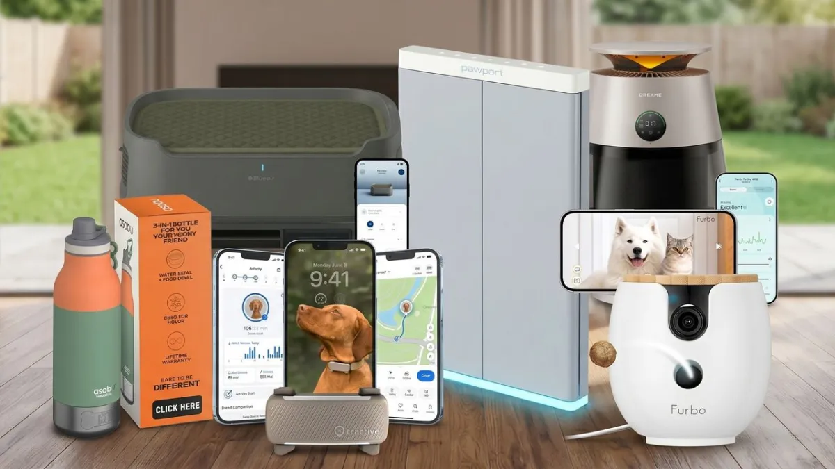 Modern canine fitness trackers and portable hydration systems are arranged for outdoor use.