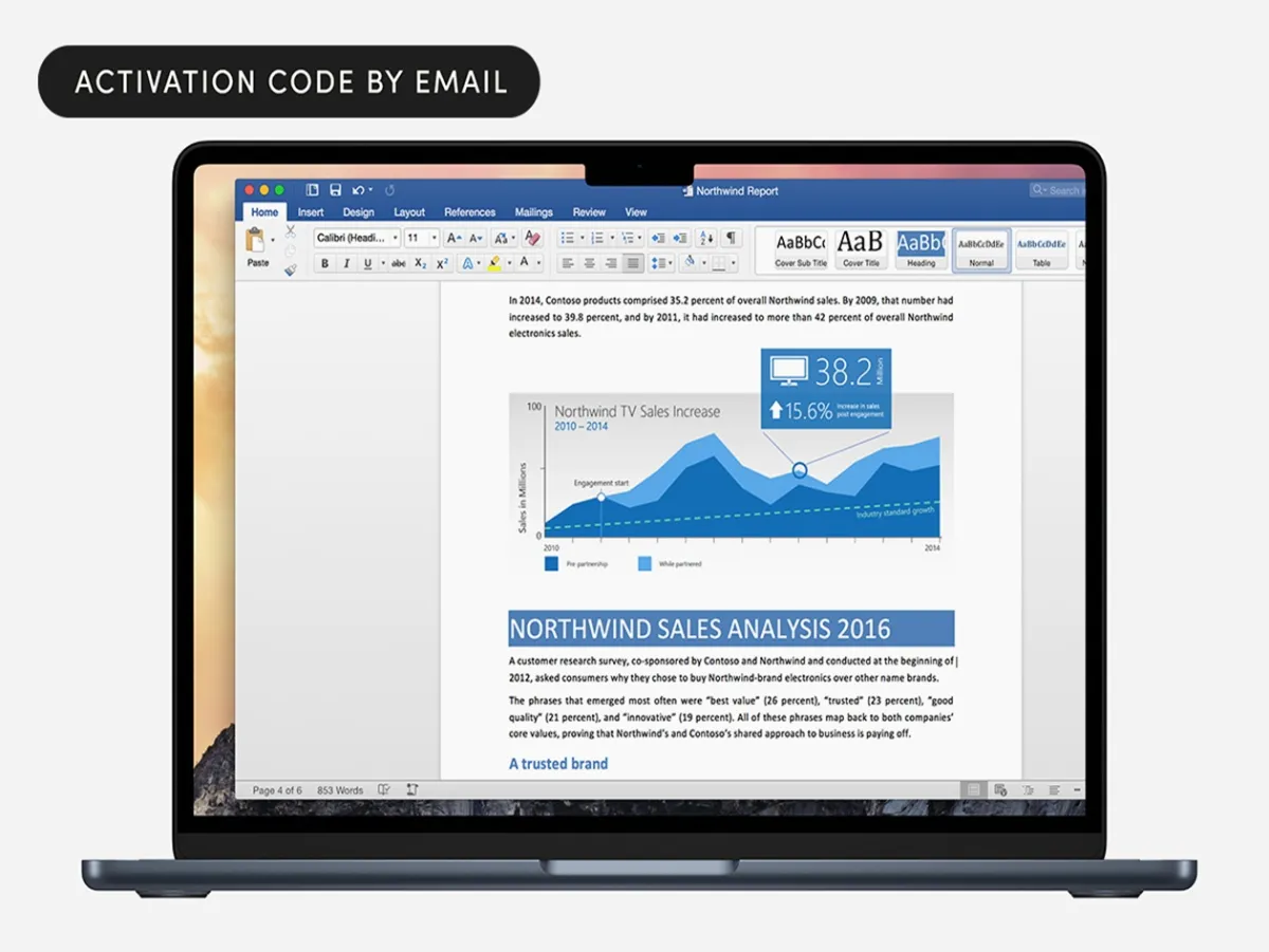 Microsoft Office Home and Business 2019 for Mac software suite and application icons arranged on a computer screen.
