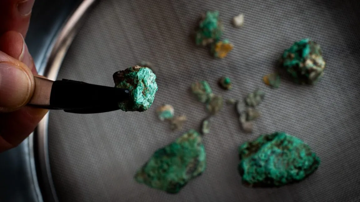 Scientific Insights From Overlooked Research Highlights