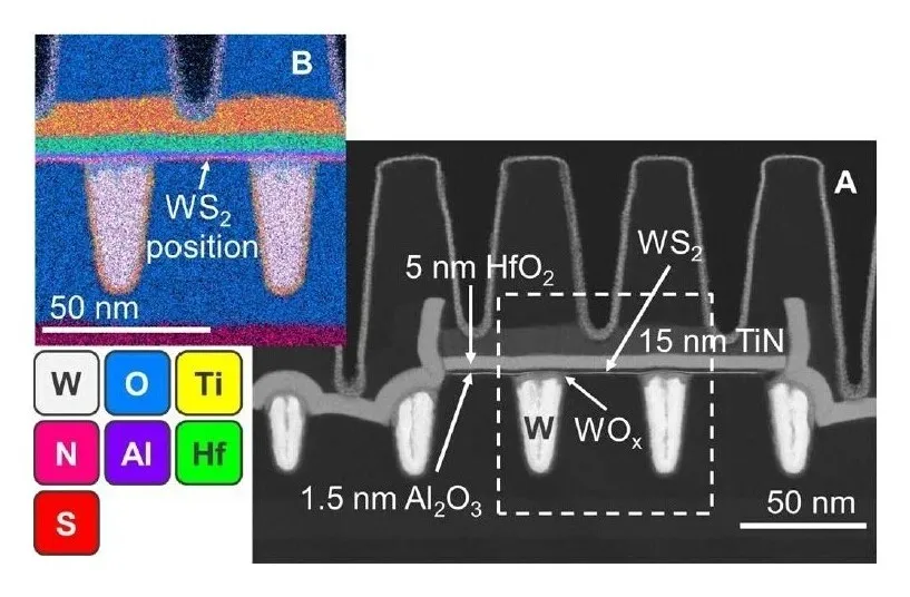 The schematic shows two-dimensional material transistors integrated on a 300 millimeter wafer with a fifty nanometer pitch.
