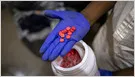 Artificial intelligence accelerates the development of synthetic drug precursors that bypass regulatory blacklists.
