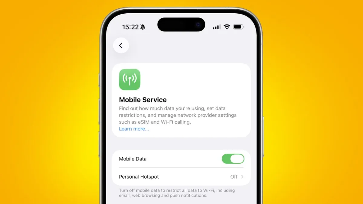 A smartphone screen shows mobile data usage metrics compared against standard carrier plan limits.