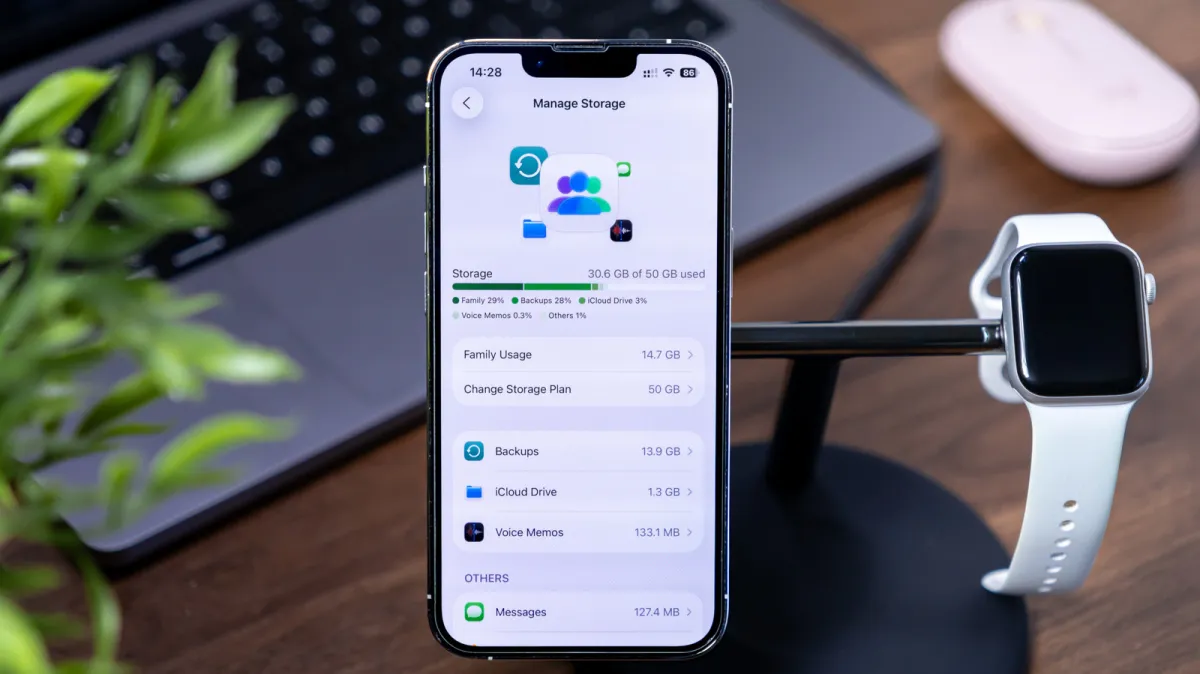 Apple iCloud backup settings displayed alongside European Union regulatory symbols