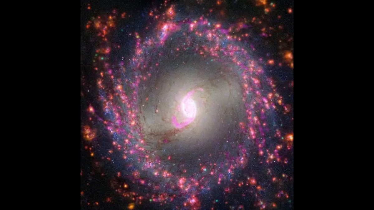 A researcher reviews astronomical data and artificial intelligence code on a computer screen.