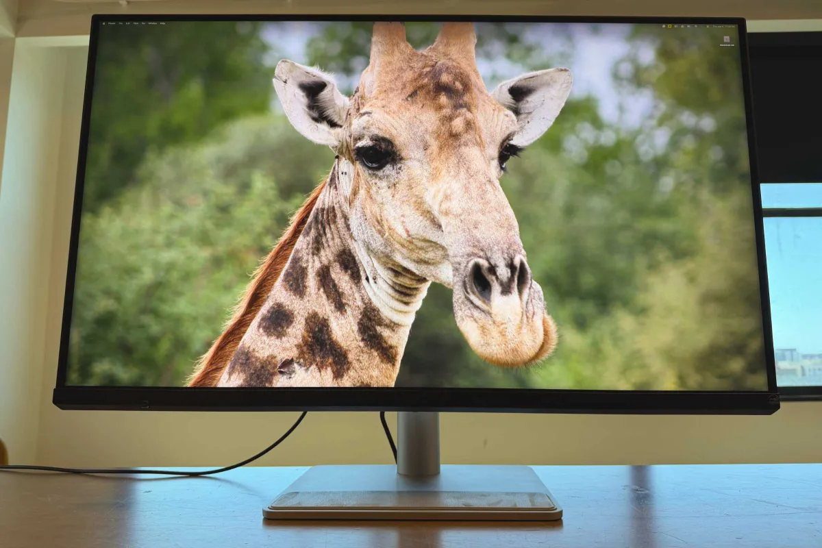 BenQ MA320UG monitor with a slim bezel and adjustable stand