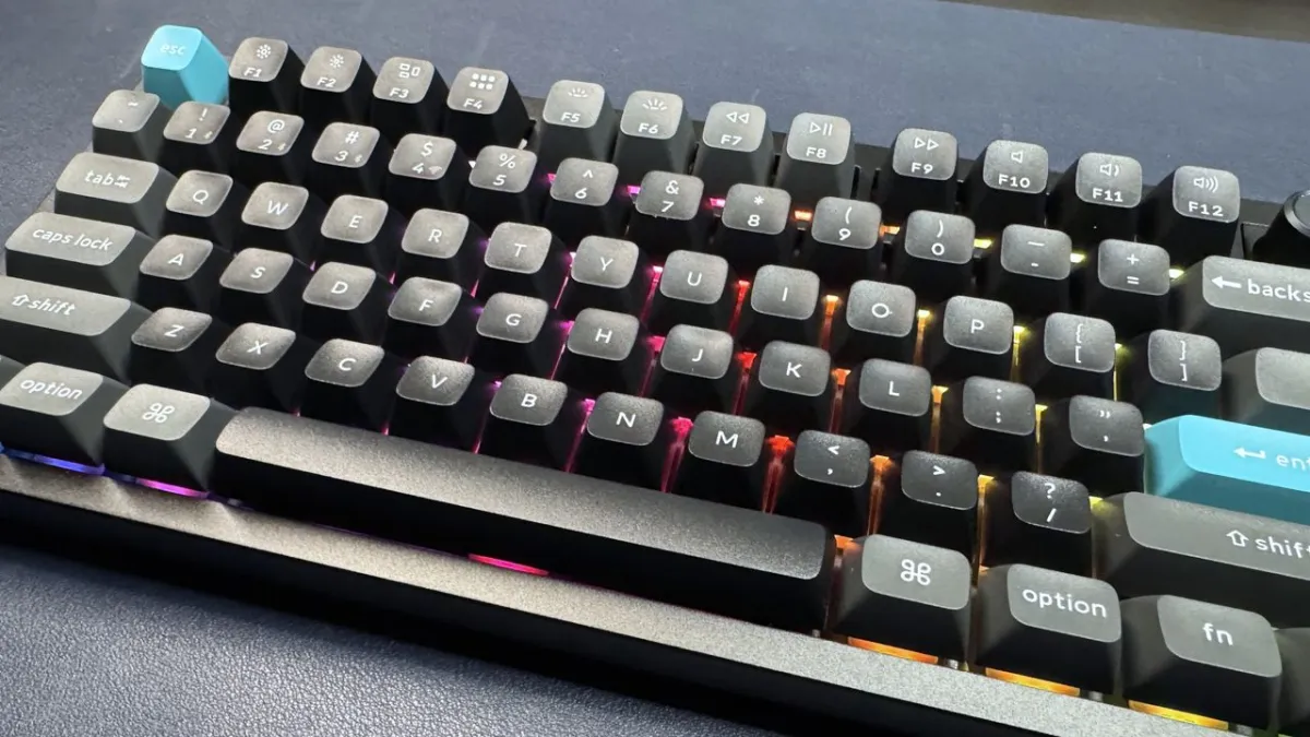 A mechanical keyboard layout displays switch architecture and gasket mounting for long-term usability assessment.
