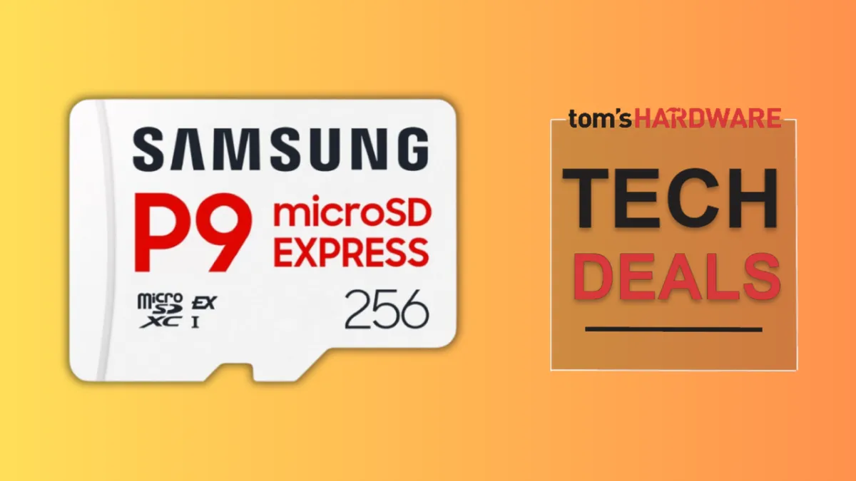 Samsung P9 Express 256GB microSD card.