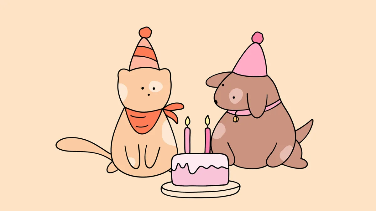 The Bears Gratitude app displays hand-drawn illustrations alongside daily journaling prompts.