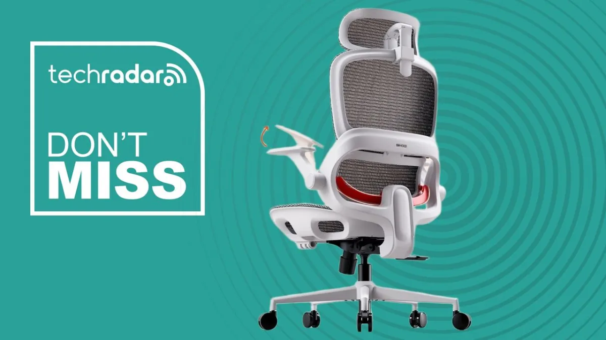 Sihoo B100 office chair featuring a breathable mesh back and adaptive lumbar support mechanism.