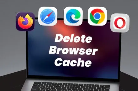 Browser privacy settings menu displaying cache deletion options