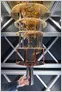Quantum computing hardware and server infrastructure illustrating corporate and government investment in future technology.