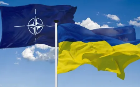 Nordic and Baltic leaders review Ukraine's NATO membership declaration.