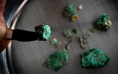Scientific Insights From Overlooked Research Highlights