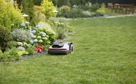 The Roborock RockNeo Q110H robot lawn mower operates on a residential lawn.