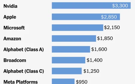 Chart showing estimated SpaceX ownership percentage for typical index fund and 401k investors.