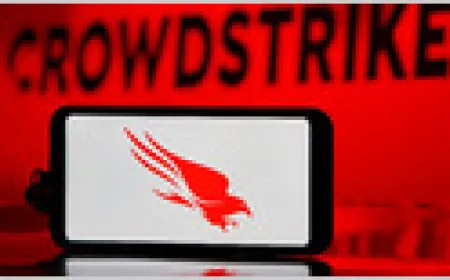 CrowdStrike first quarter earnings results and after-hours stock decline