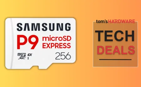 Samsung P9 Express 256GB microSD card.