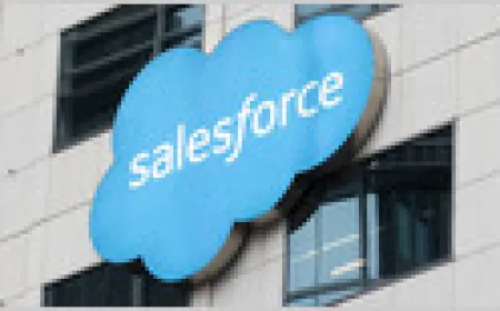Salesforce and Fin logos are displayed to represent the business acquisition.