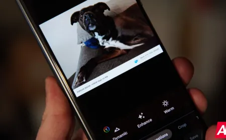The updated Google Photos Android interface displays a new Stickers folder in the Collections tab.