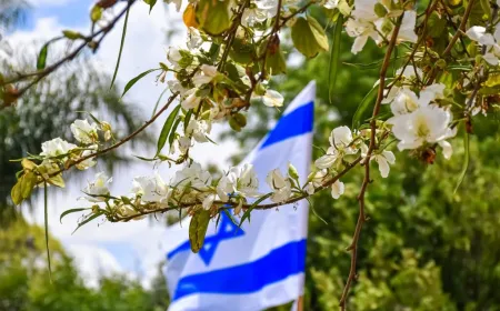 Israeli schools reopen nationwide following temporary closure due to missile alerts and new safety protocols.