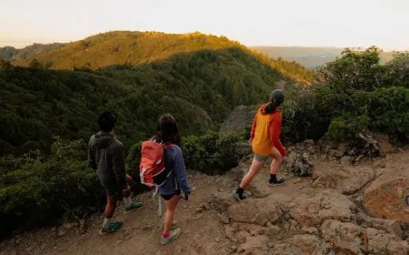 Strava app interface showing new hiking navigation tools, map styling updates, and activity replay features.