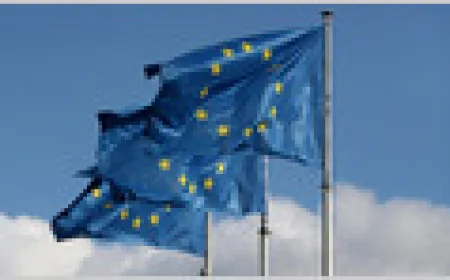 European officials review the practical impact of United States export controls on artificial intelligence models.