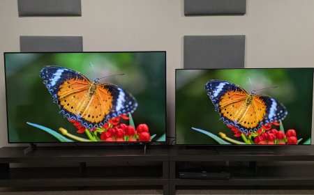 LG G6 vs B6 OLED Comparison: Brightness, Color, and Value