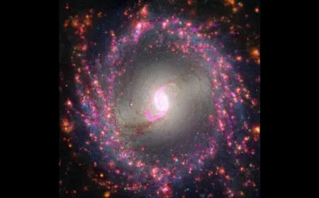 A researcher reviews astronomical data and artificial intelligence code on a computer screen.