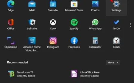 Windows 11 network settings interface showing public and private network options