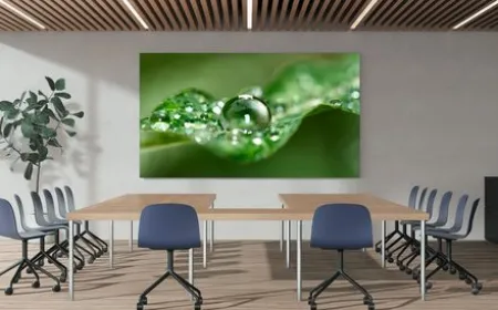 Sony Crystal LED UNIFY 135-inch direct-view LED display for professional corporate environments.