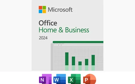 Microsoft Office 2024 Home and Business application window displaying Word, Excel, PowerPoint, Outlook, and OneNote.