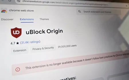 Chrome browser interface showing extension management and security settings