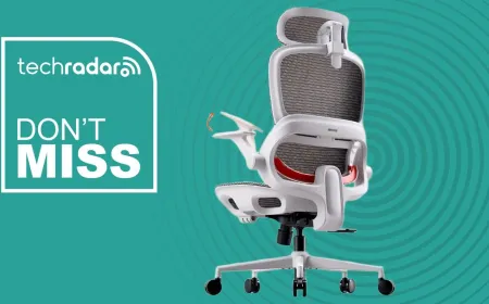 Sihoo B100 office chair featuring a breathable mesh back and adaptive lumbar support mechanism.