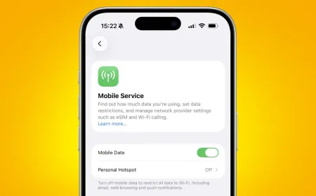 A smartphone screen shows mobile data usage metrics compared against standard carrier plan limits.