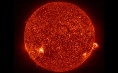 Earth's Biosphere May Survive 1.84 Billion Years as Sun Brightens